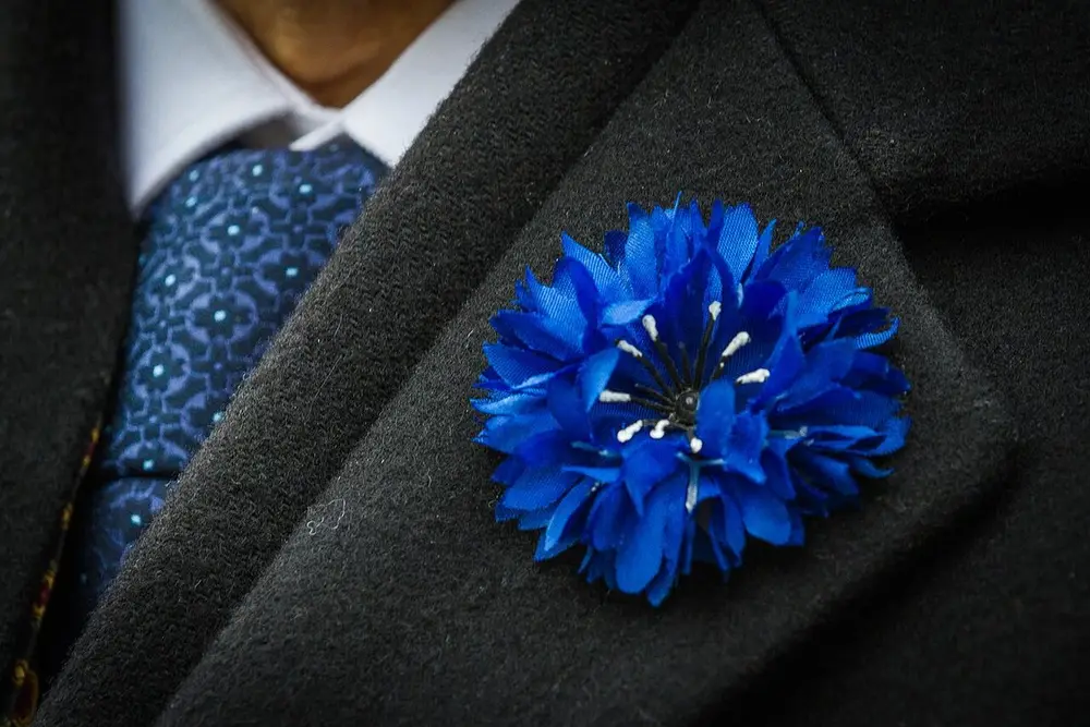 Bleuet de France
