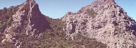 加拉霍奈国家公园