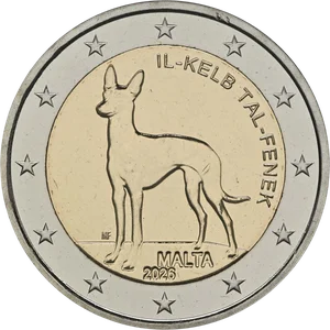 €C# 596 法老王猎犬