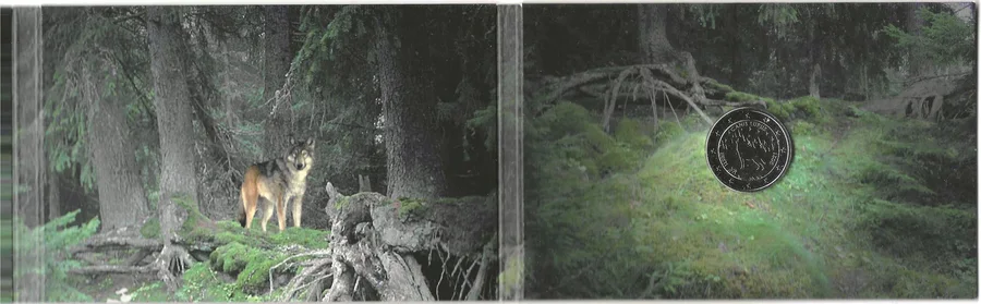 硬币卡 / 卡装